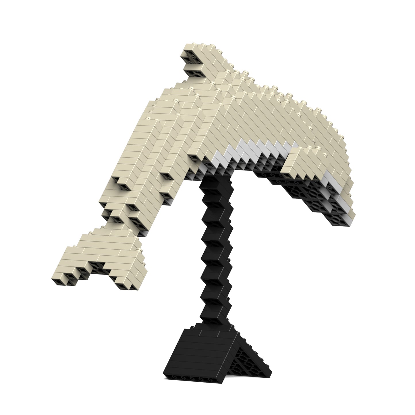 シナウスイロイルカ 01S