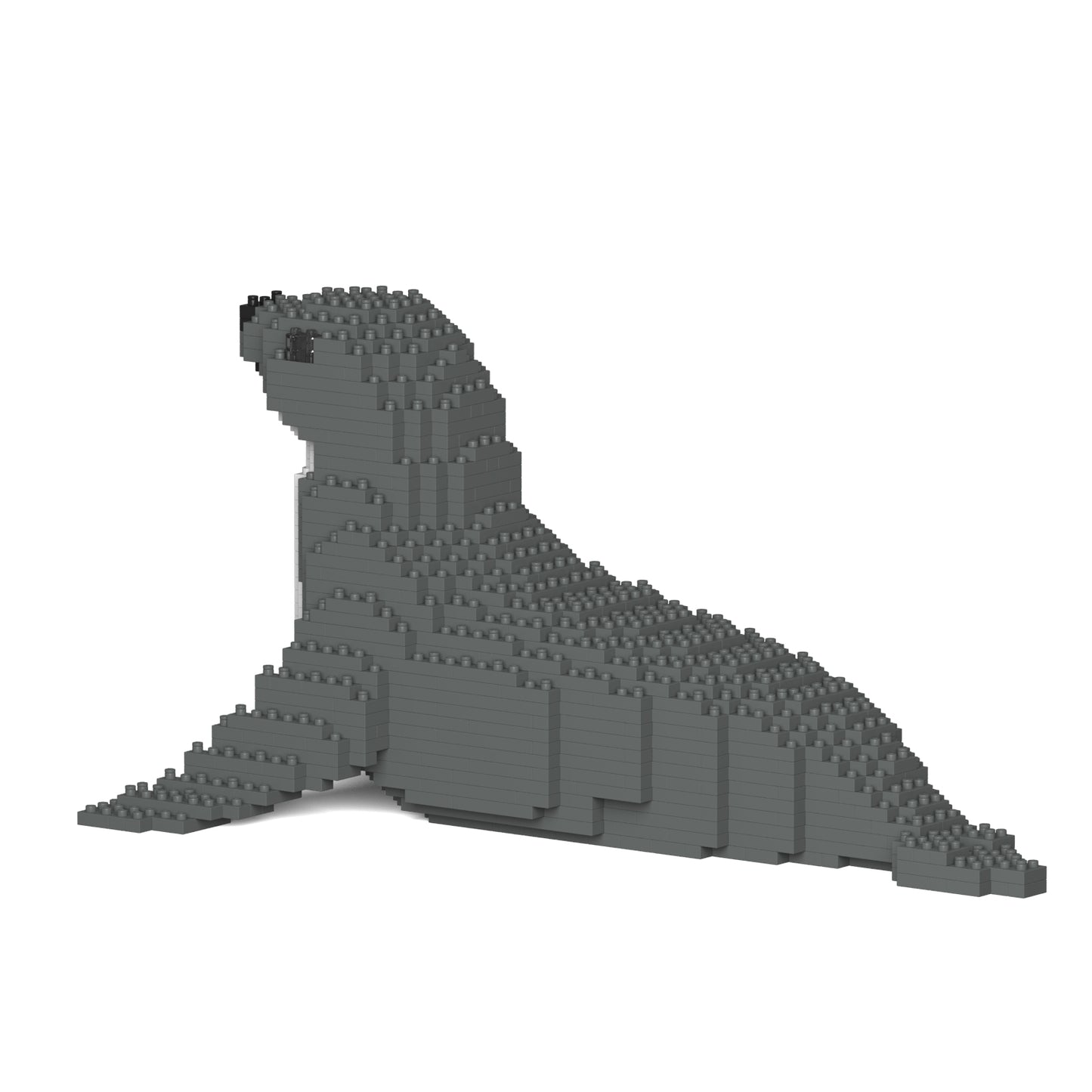 アザラシ 01S / 01C