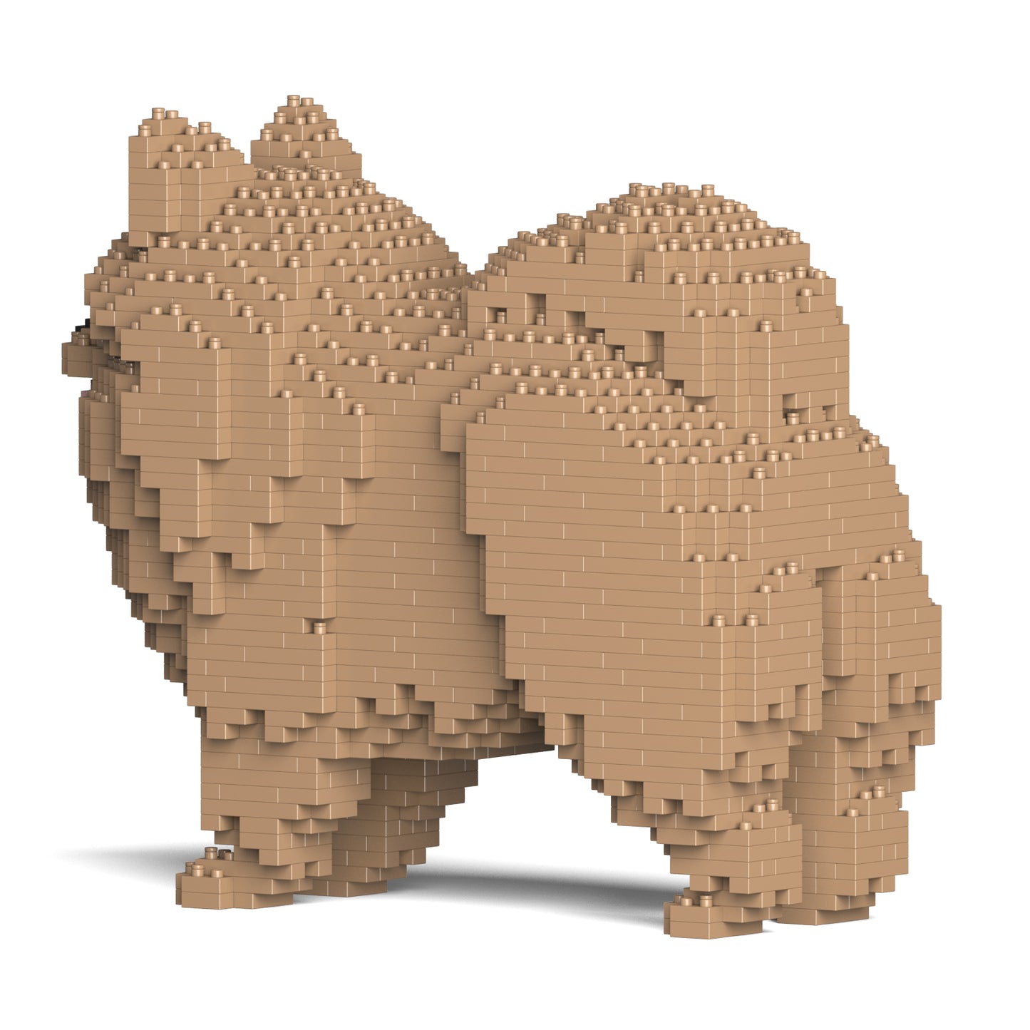 ポメラニアン 02S-M04 / 02C-M04