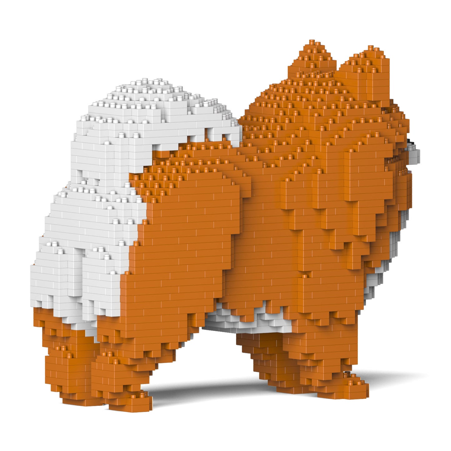 ポメラニアン 02S-M05 / 02C-M05