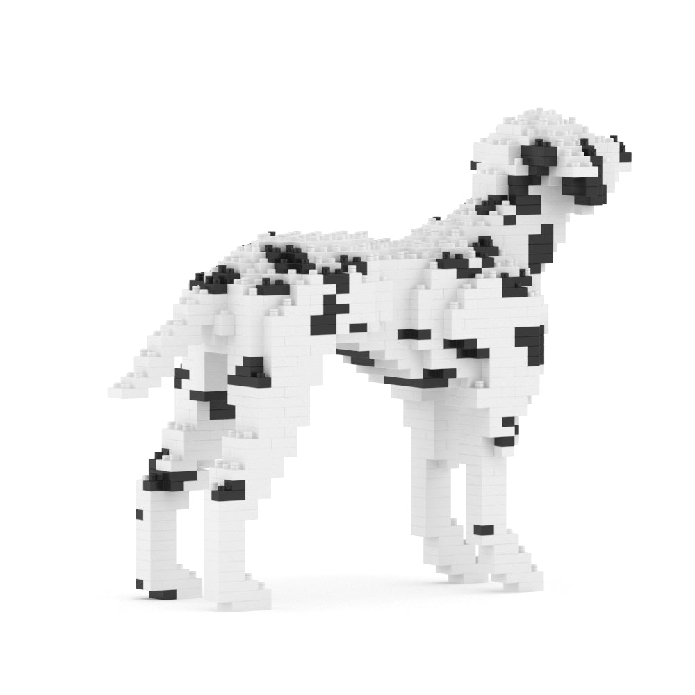 ダルメシアン 01S-M01 / 01C-M01