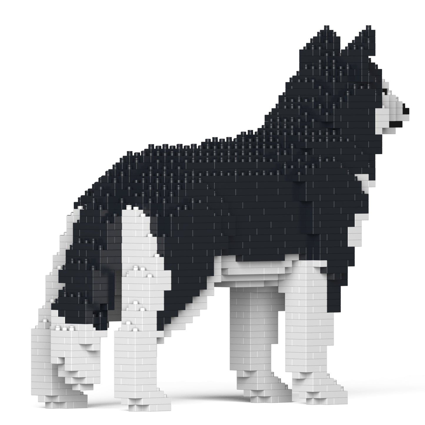 【訳あり(パッケージ不良)】ハスキー 01S-M01 (Black Friday 2025)