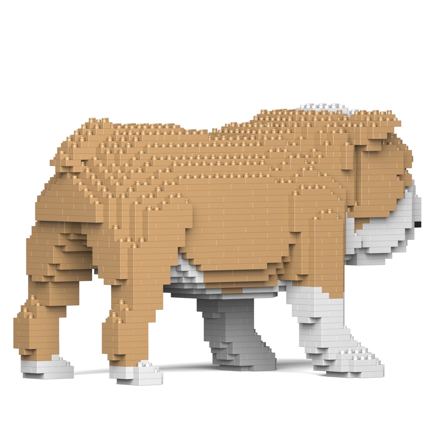 【訳あり(パッケージ不良)】イングリッシュ・ブルドッグ 01S-M03 (Black Friday 2025)