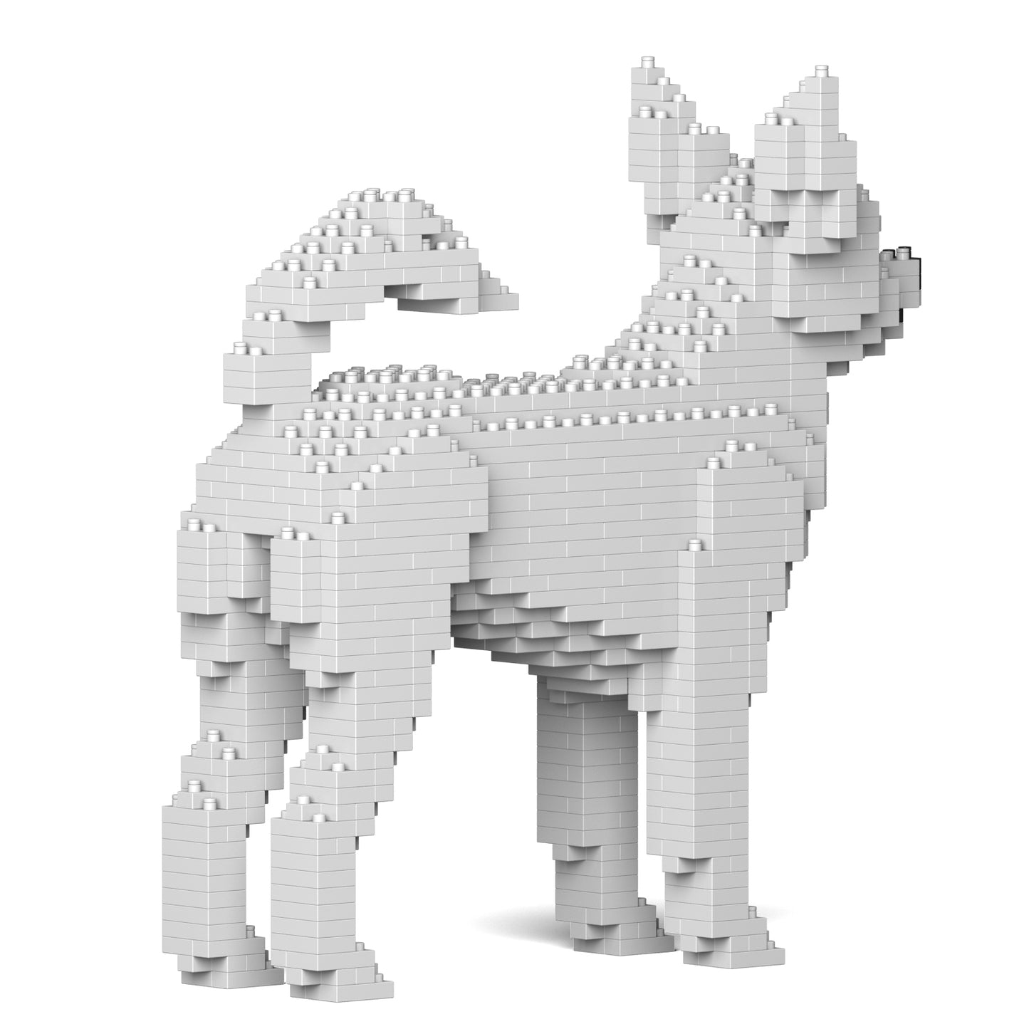 チワワ 01S-M03 / 01C-M03