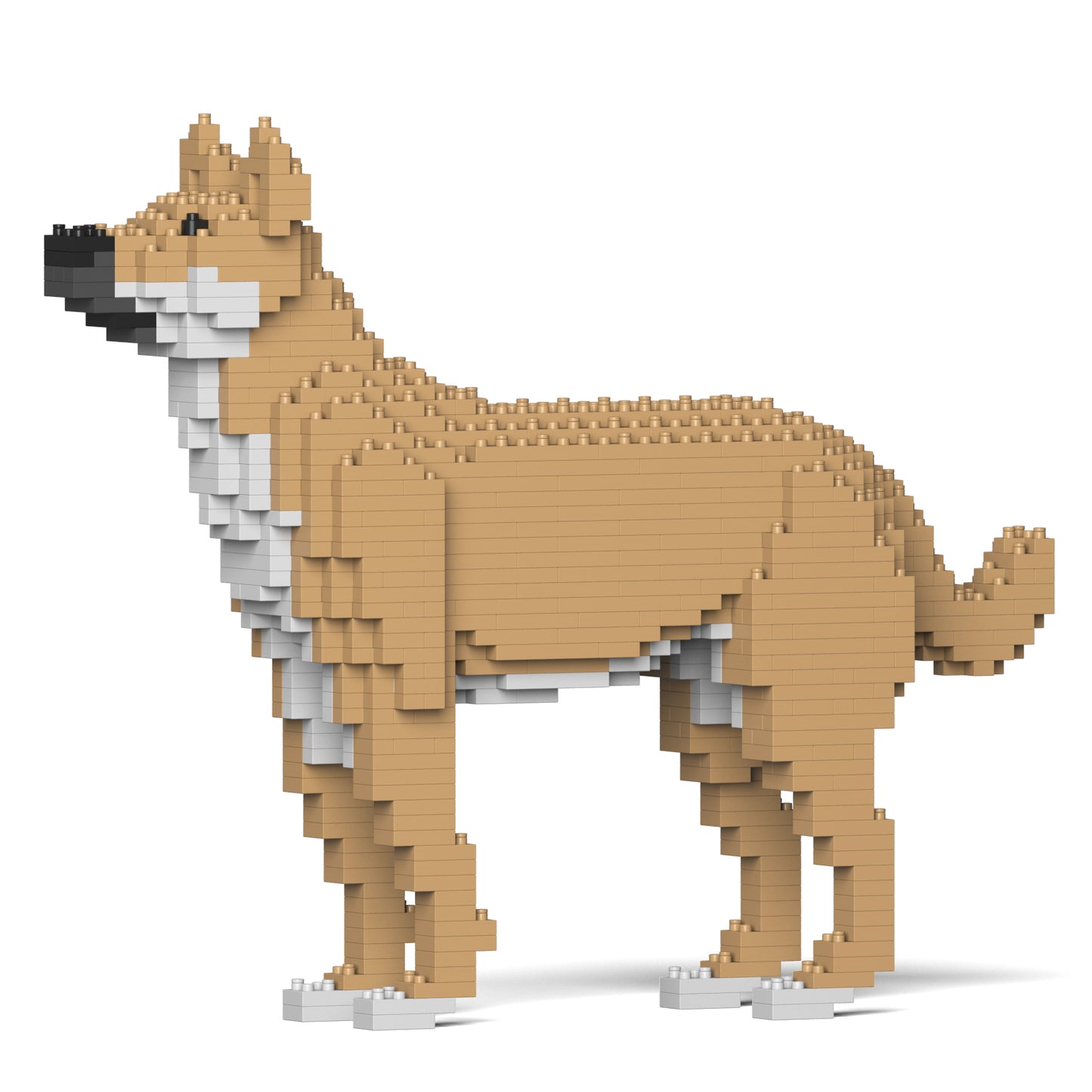 雑種犬 01S-M01 / 01C-M01