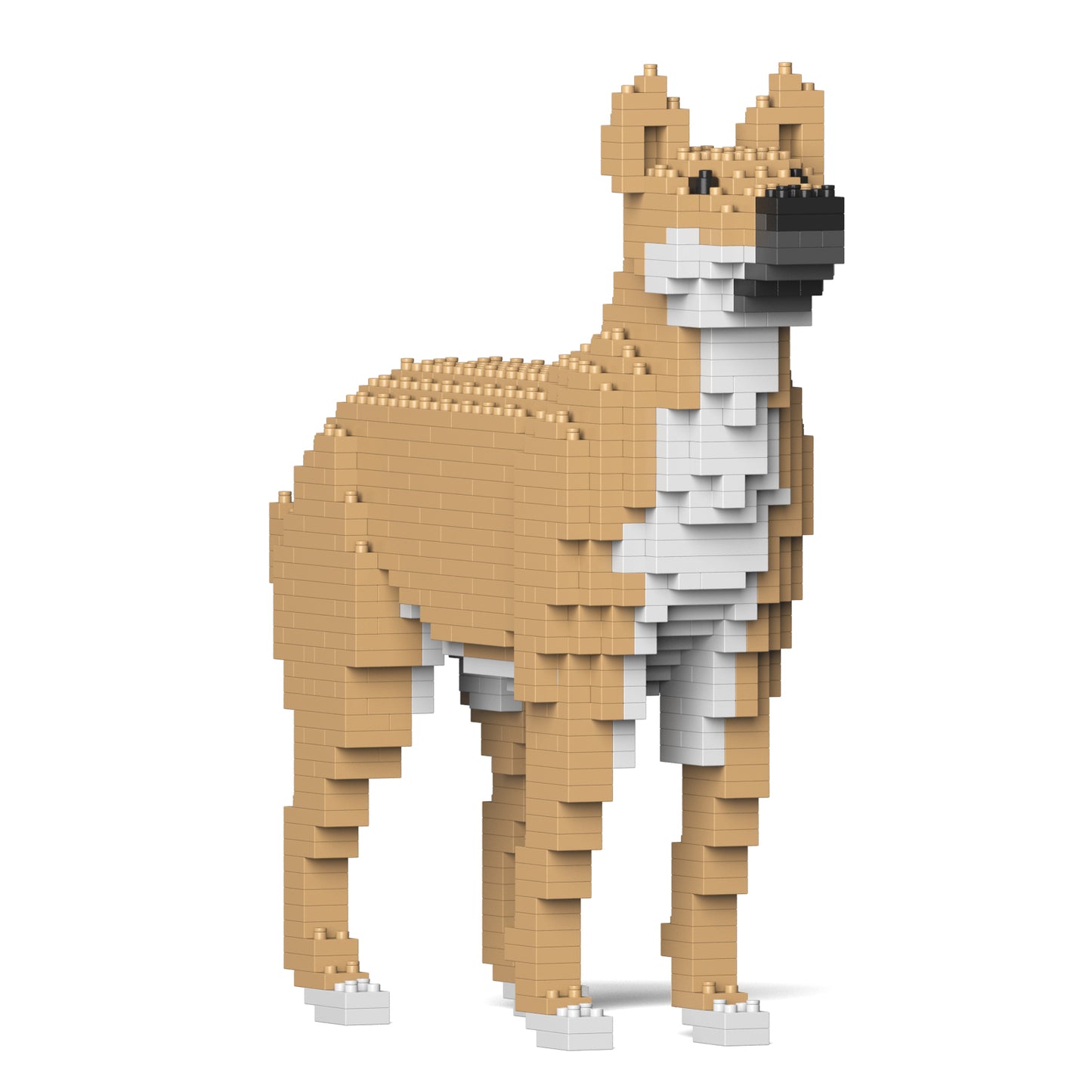雑種犬 01S-M01 / 01C-M01