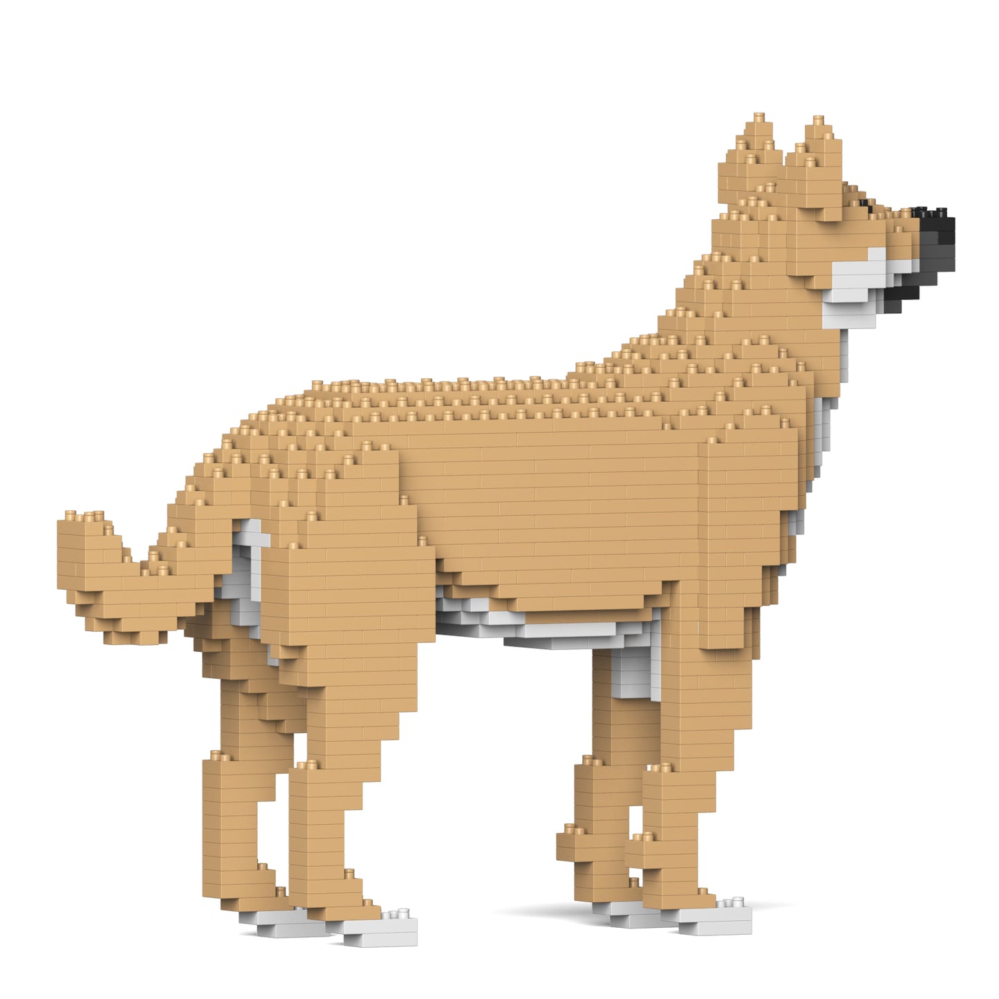 雑種犬 01S-M01 / 01C-M01