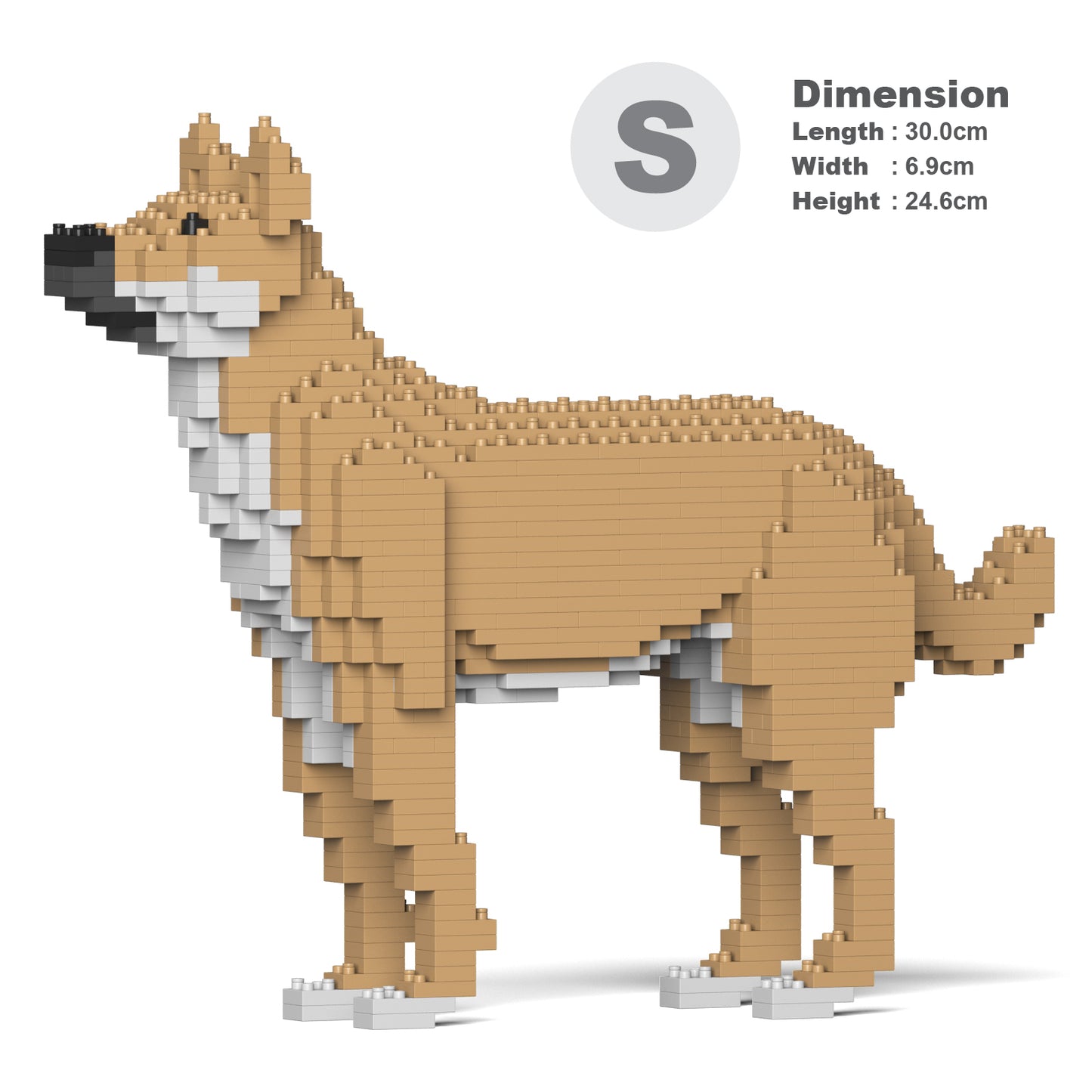 雑種犬 01S-M01 / 01C-M01