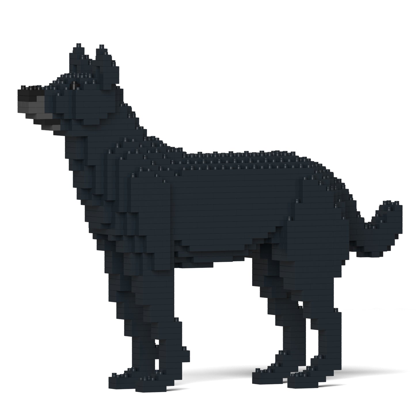 雑種犬 01S-M02 / 01C-M02