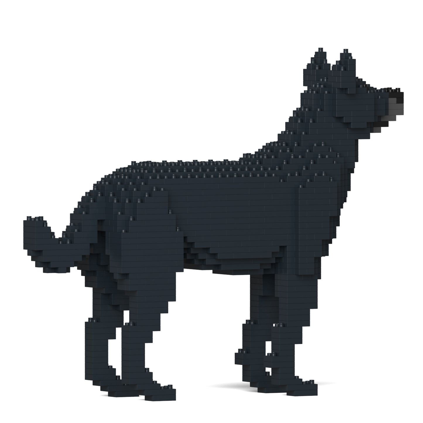 雑種犬 01S-M02 / 01C-M02