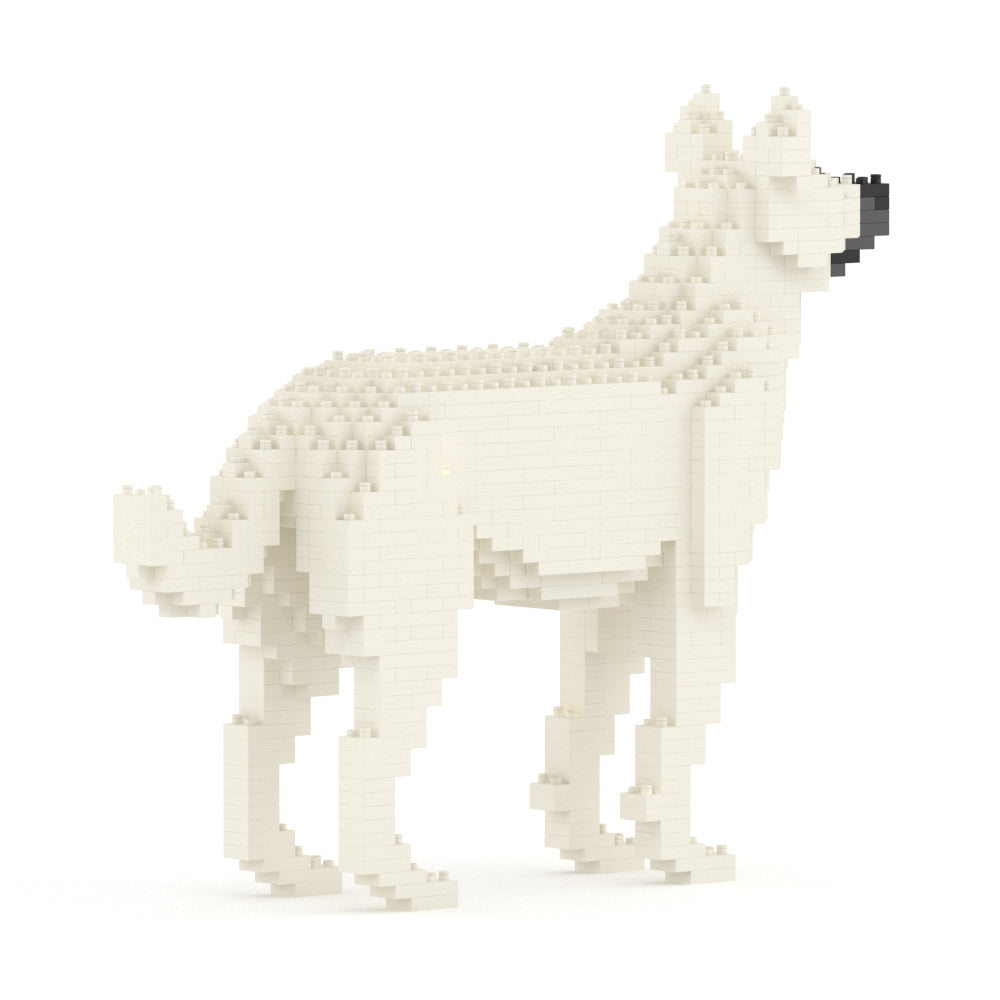 雑種犬 01S-M03 / 01C-M03