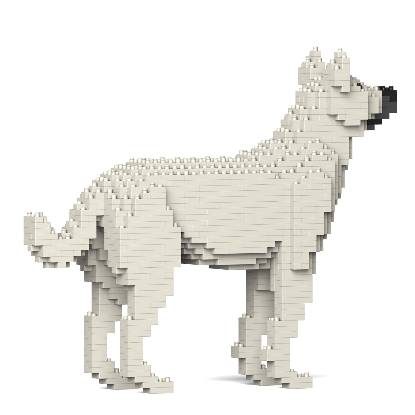 雑種犬 01S-M03 / 01C-M03