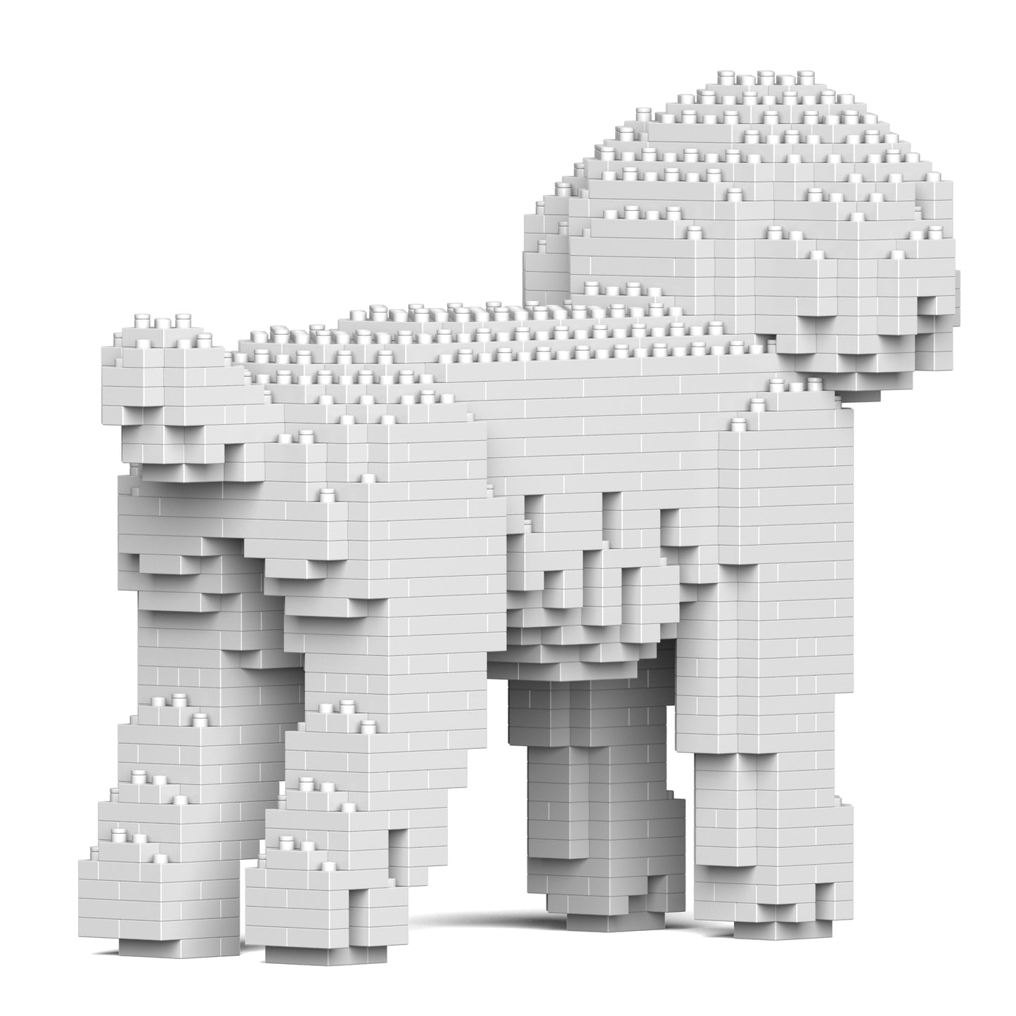 トイ・プードル 01S-M01 / 01C-M01