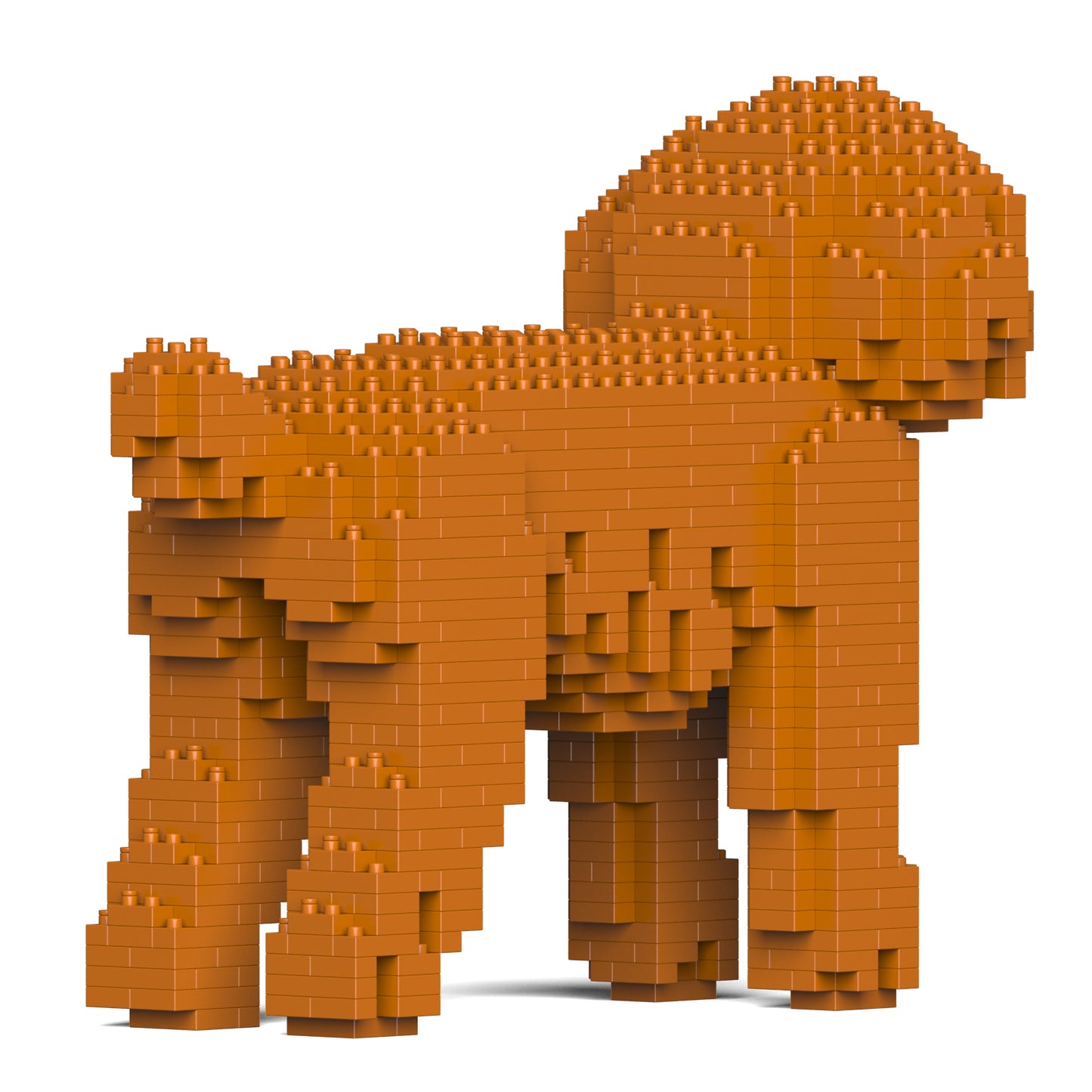 トイ・プードル 01S-M04 / 01C-M04