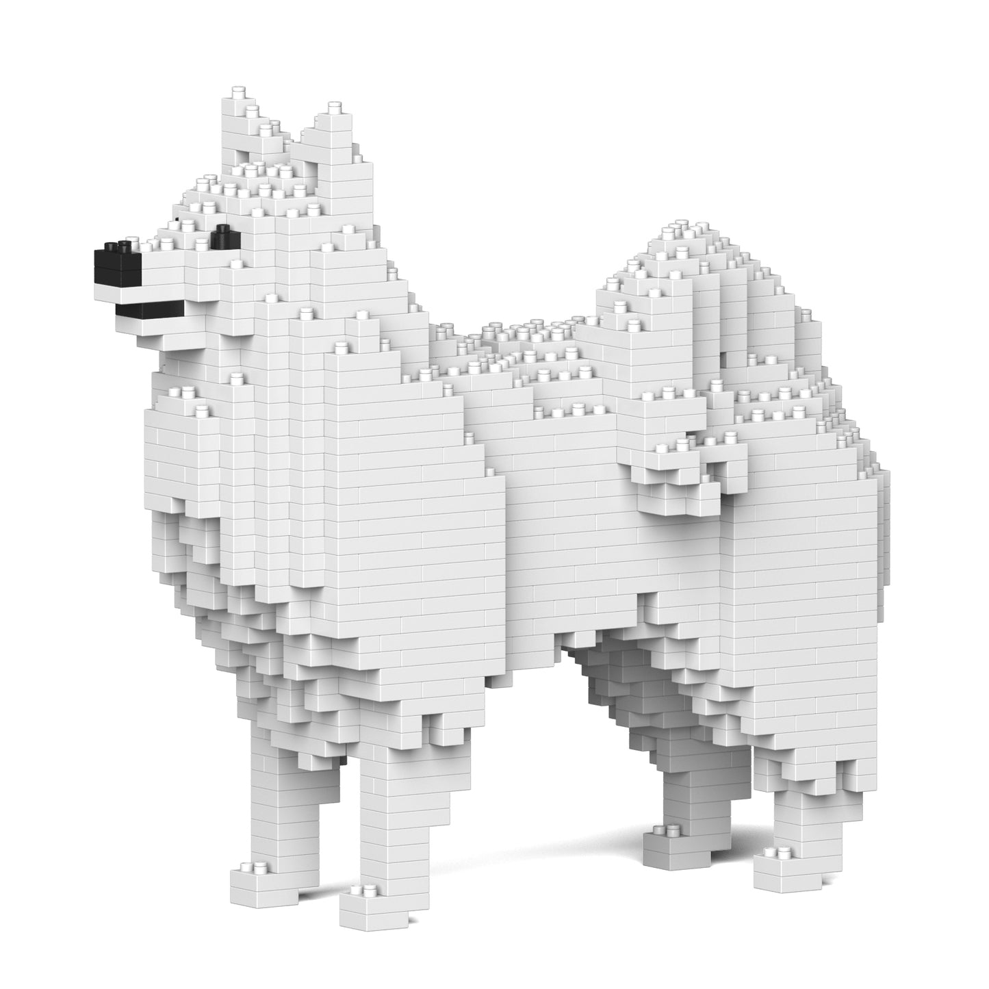 【訳あり(パッケージ不良)】日本スピッツ 01S (Black Friday 2025)