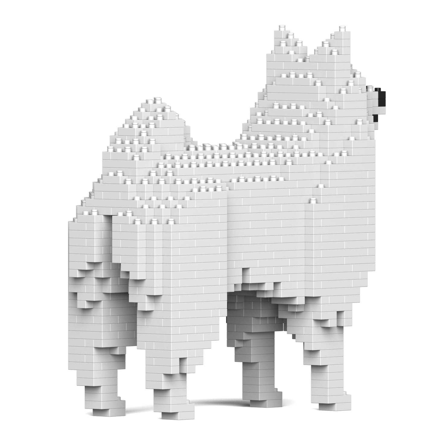 日本スピッツ 01S / 01C