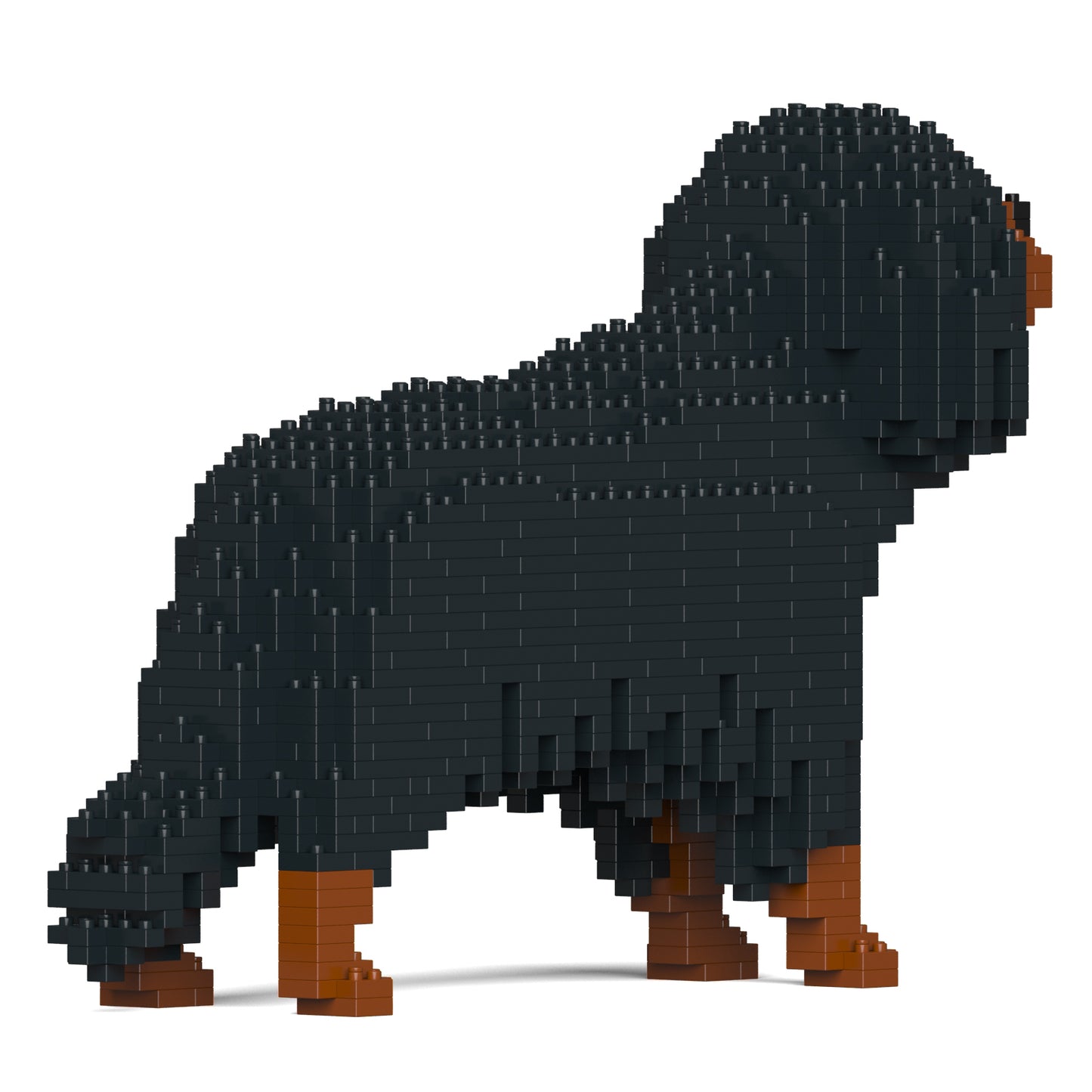 キャバリア・キング・チャールズ・スパニエル 01S-M04 / 01C-M04