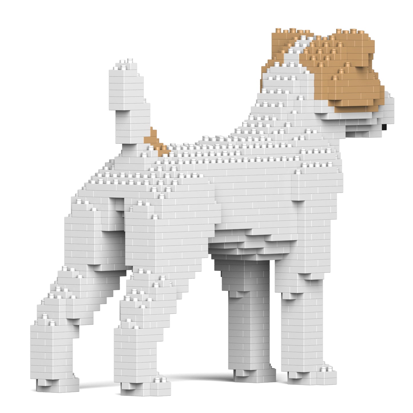 ジャック・ラッセル・テリア 01S-M03 / 01C-M03