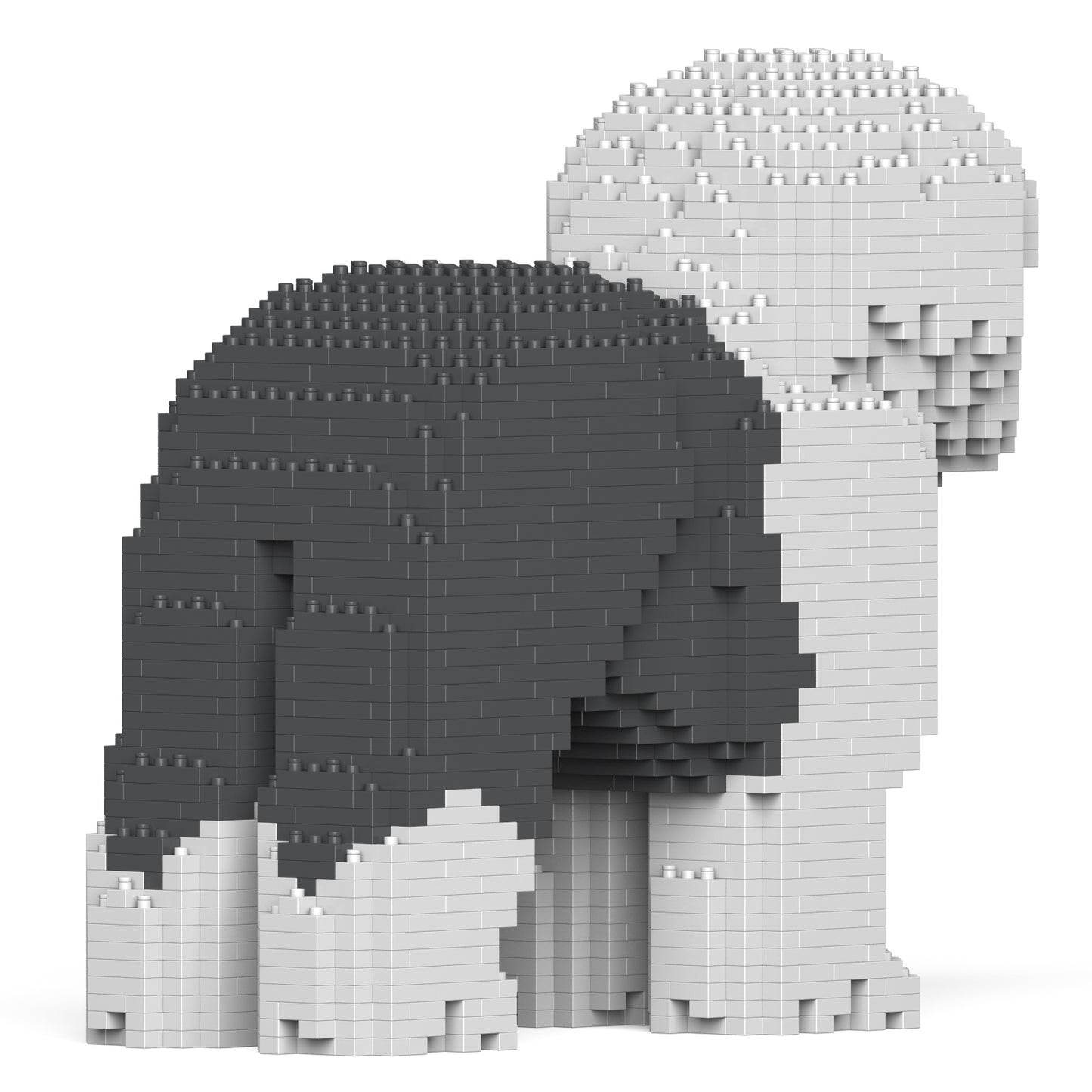 オールド・イングリッシュ・シープドッグ 01S-M02 / 01C-M02