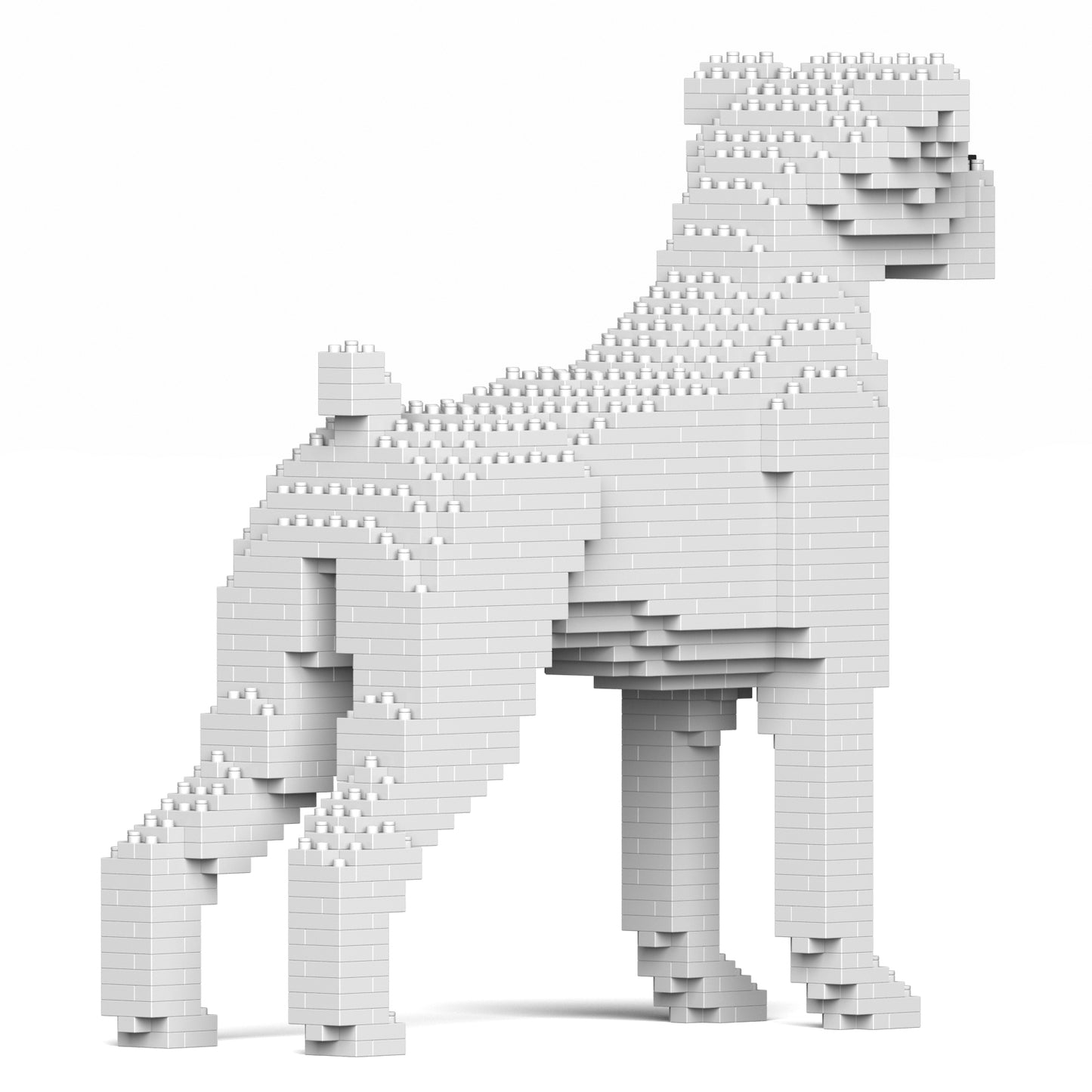 ボクサー 01S-M03 / 01C-M03