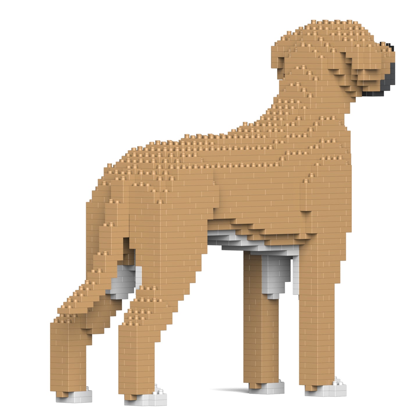 グレート・デーン 01S-M01 / 01C-M01