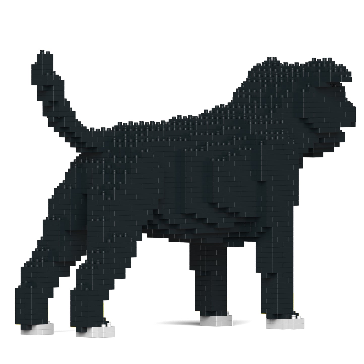 スタッフォードシャー・ブル・テリア 01S-M02 / 01C-M02