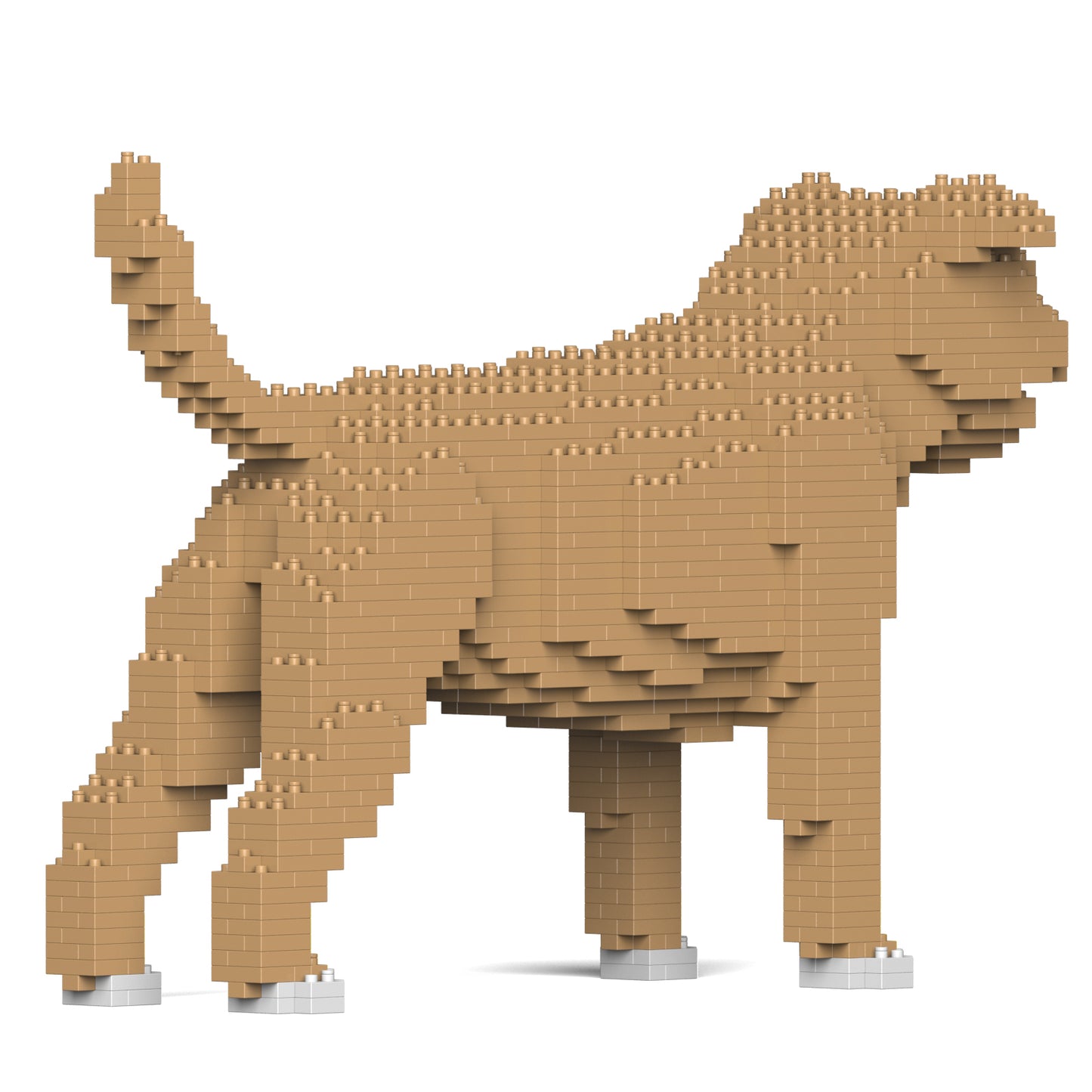 スタッフォードシャー・ブル・テリア 01S-M03 / 01C-M03