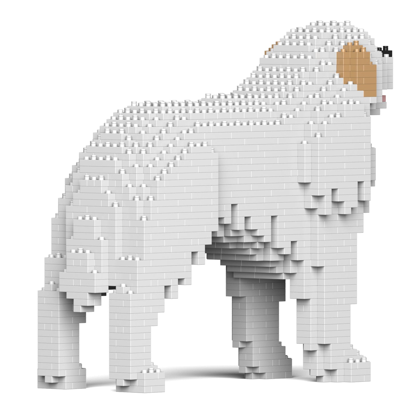 グレート・ピレニーズ 01S / 01C