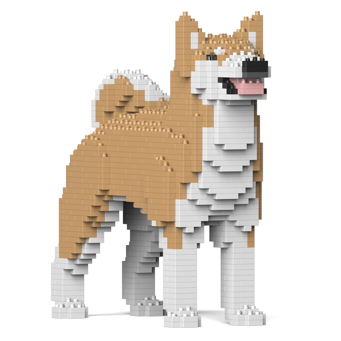 秋田犬01S-M02 / 01C-M02