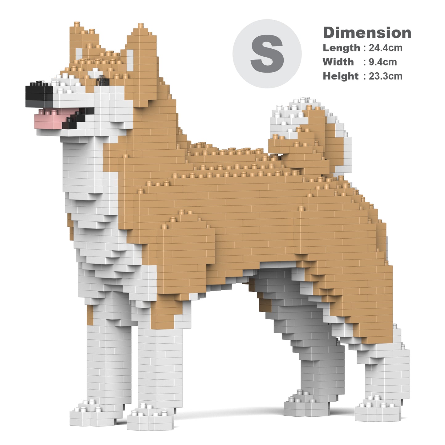 秋田犬01S-M02 / 01C-M02
