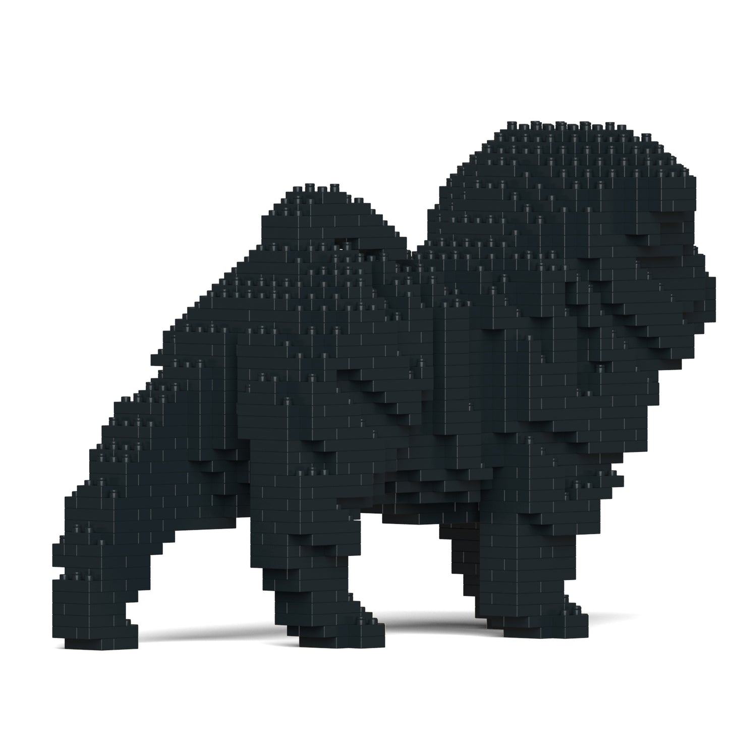 シャー・ペイ 01S-M02 / 01C-M02