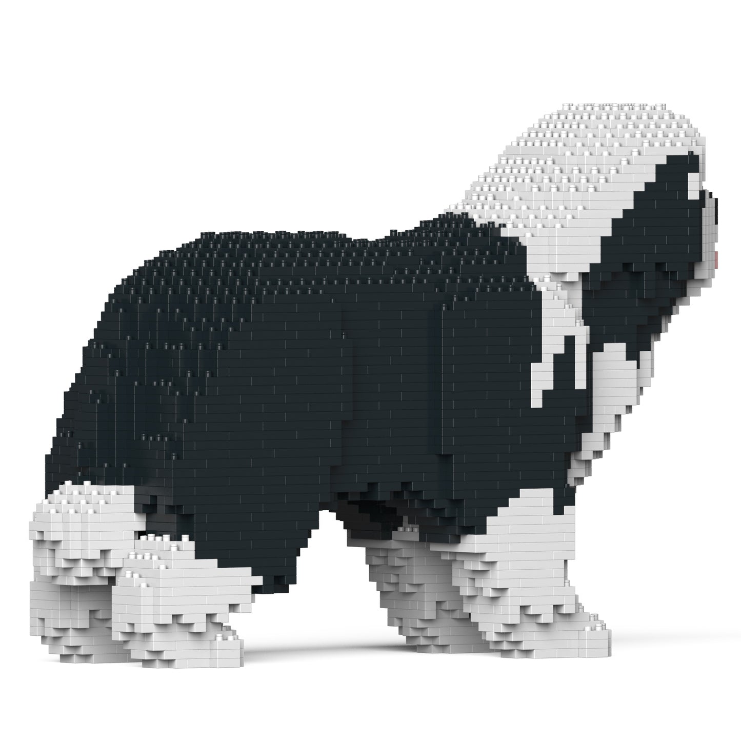 ビアデッド・コリー 01S-M01 / 01C-M01