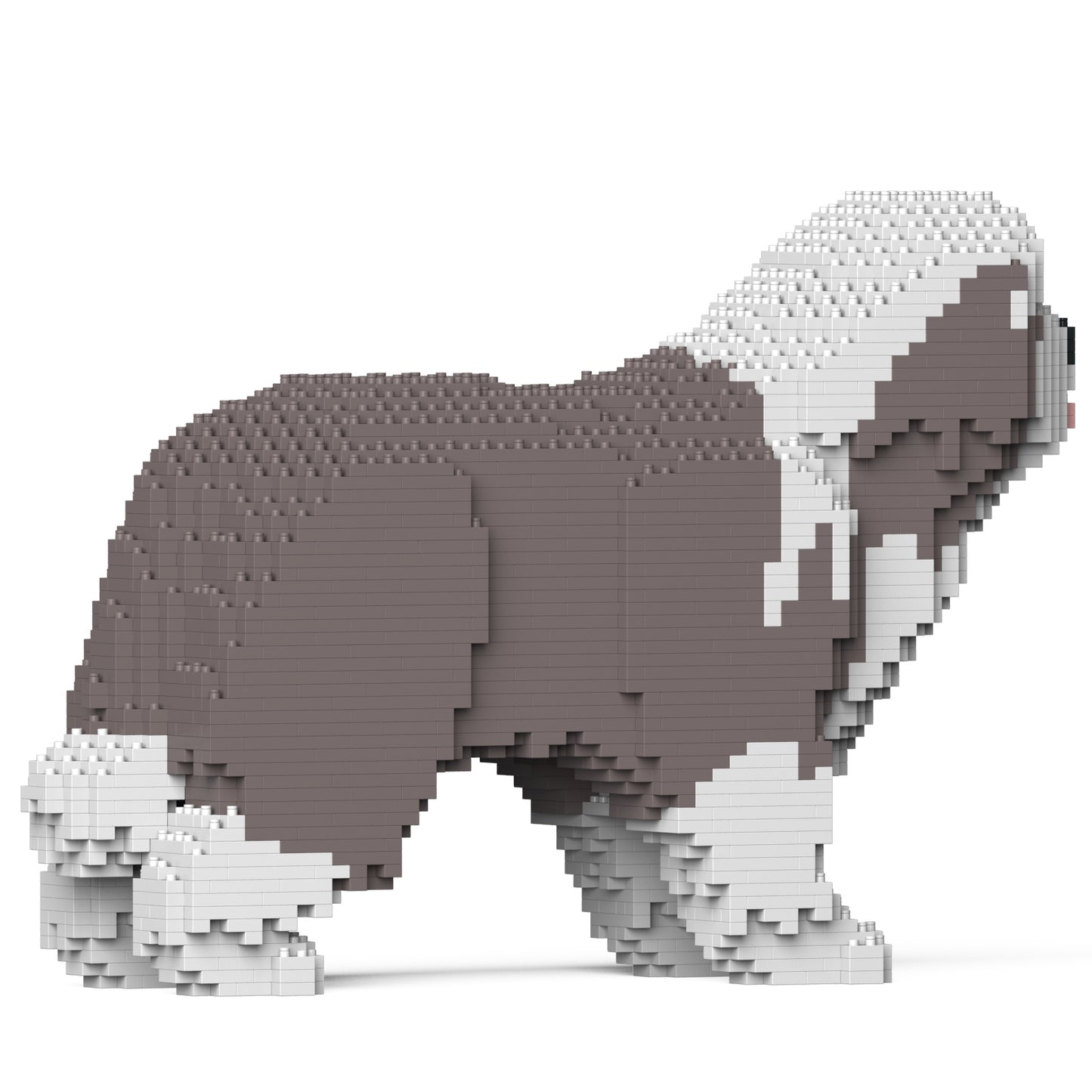 ビアデッド・コリー 01S-M02 / 01C-M02