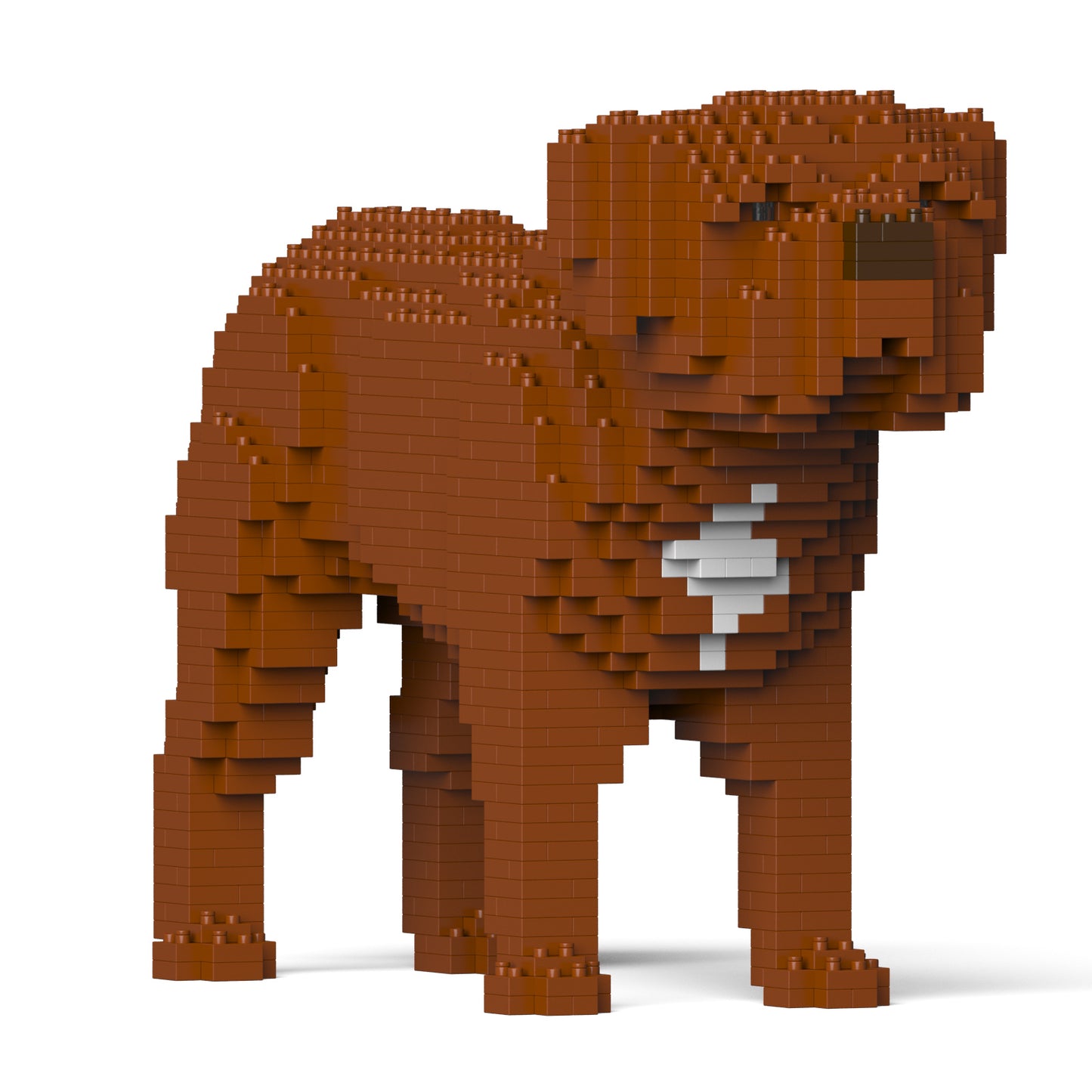 ボルドー・マスティフ 01S