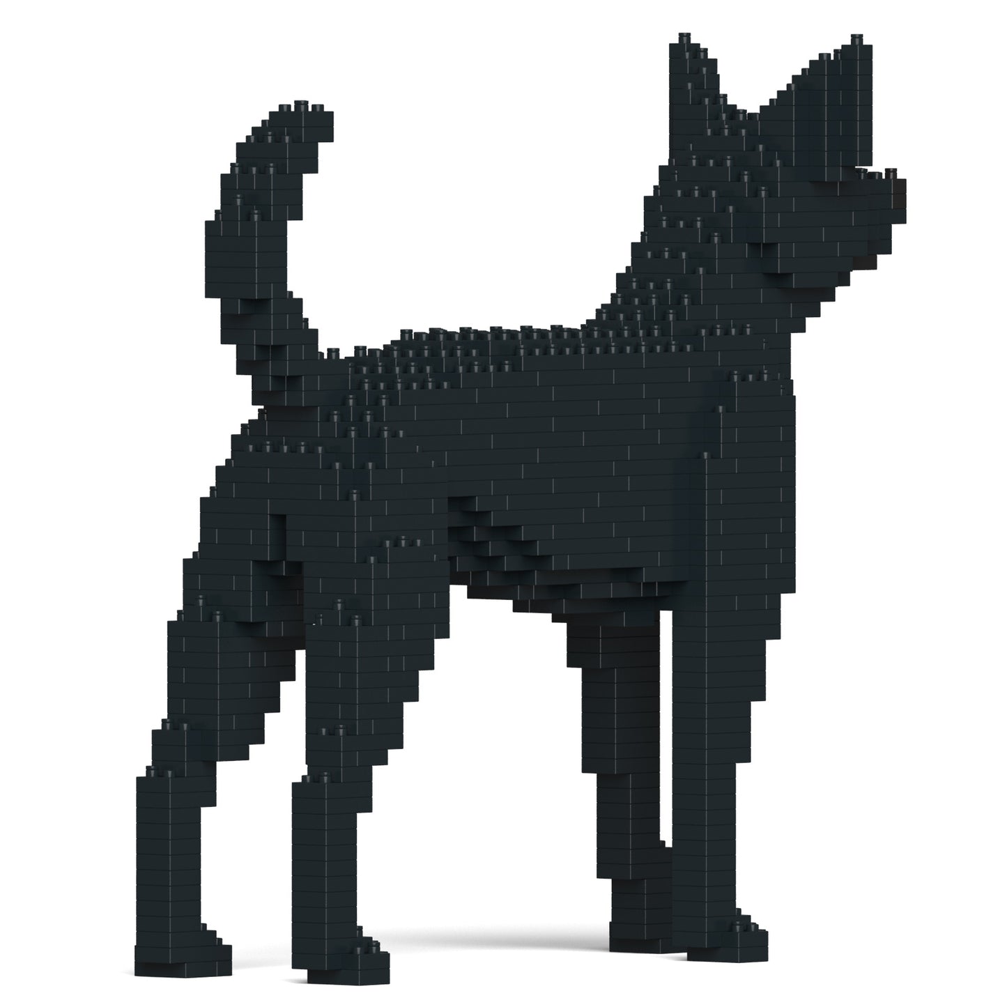 フォルモサン・マウンテン・ドッグ 01S / 01C