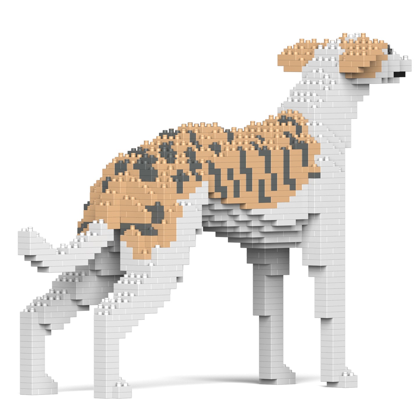 ウィペット 01S / 01C