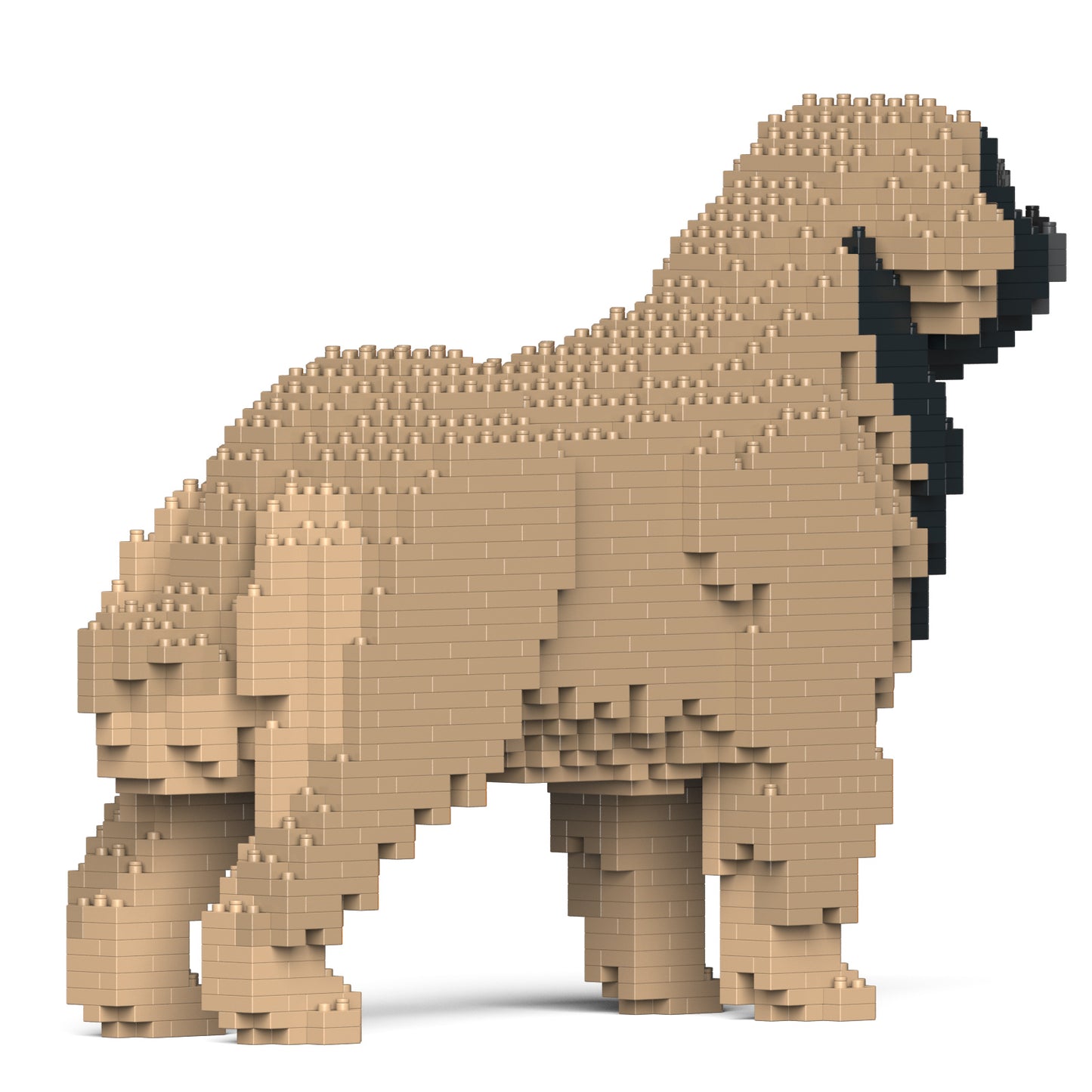 レオンベルガー 01S-M02 / 01C-M02