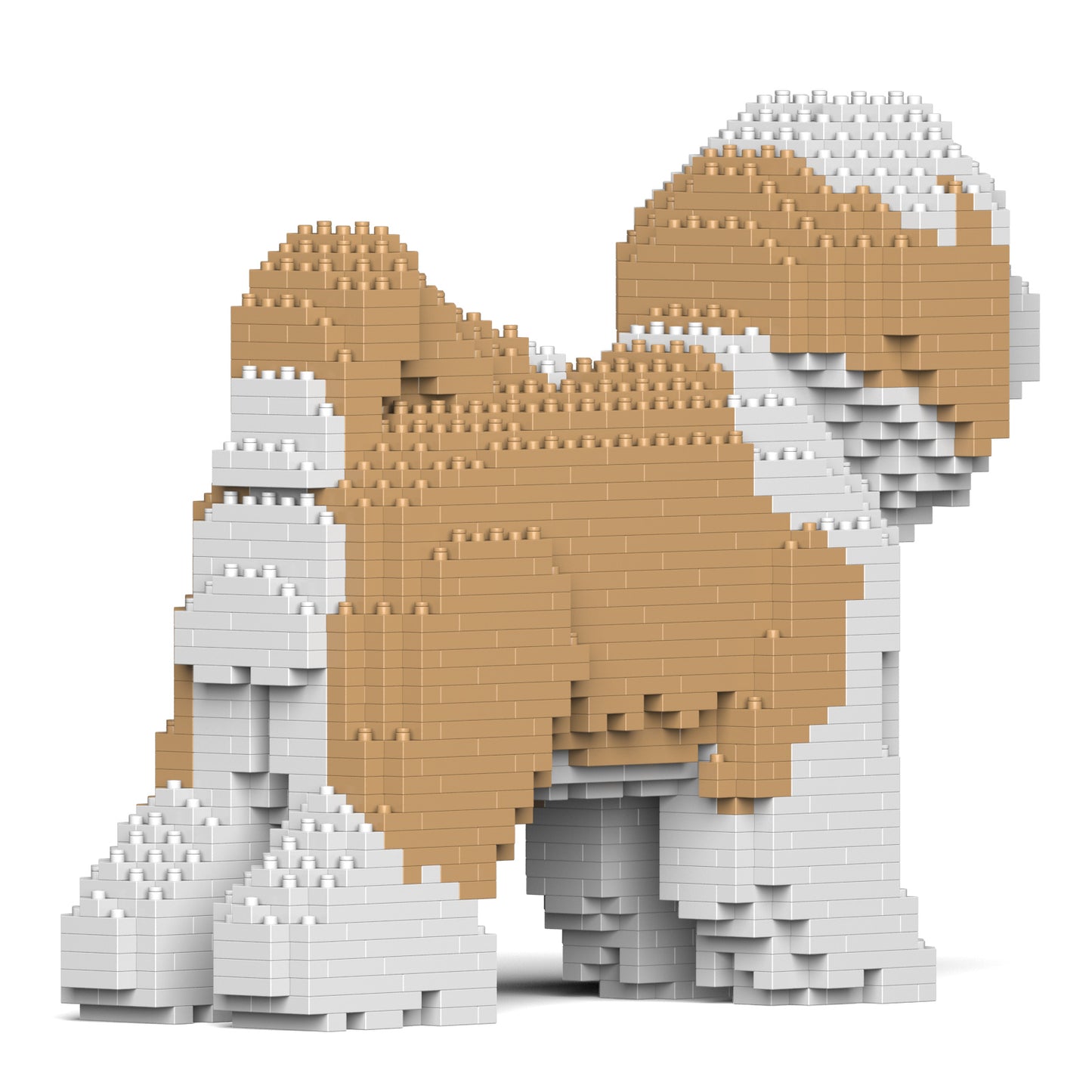 チベタン・テリア 01S-M01 / 01C-M01