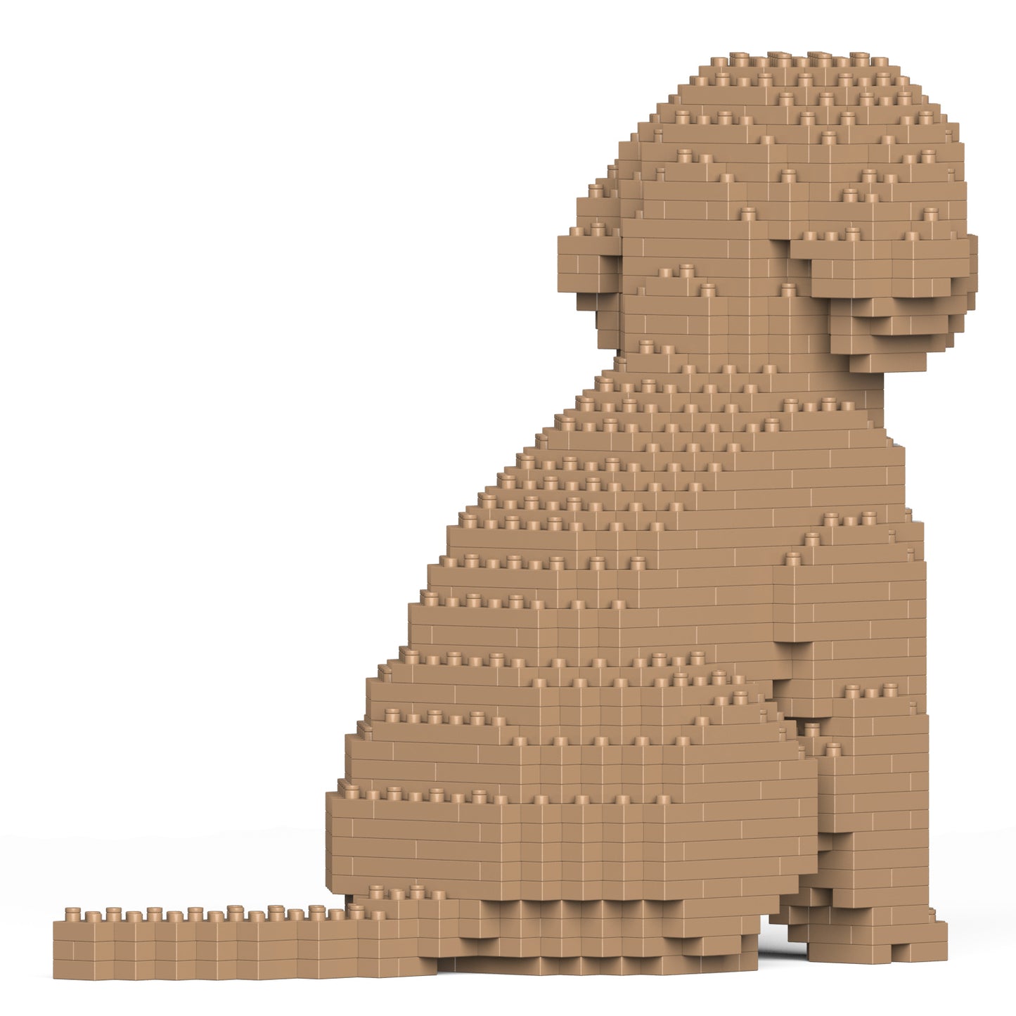 コッカープー 01S-M01 / 01C-M01