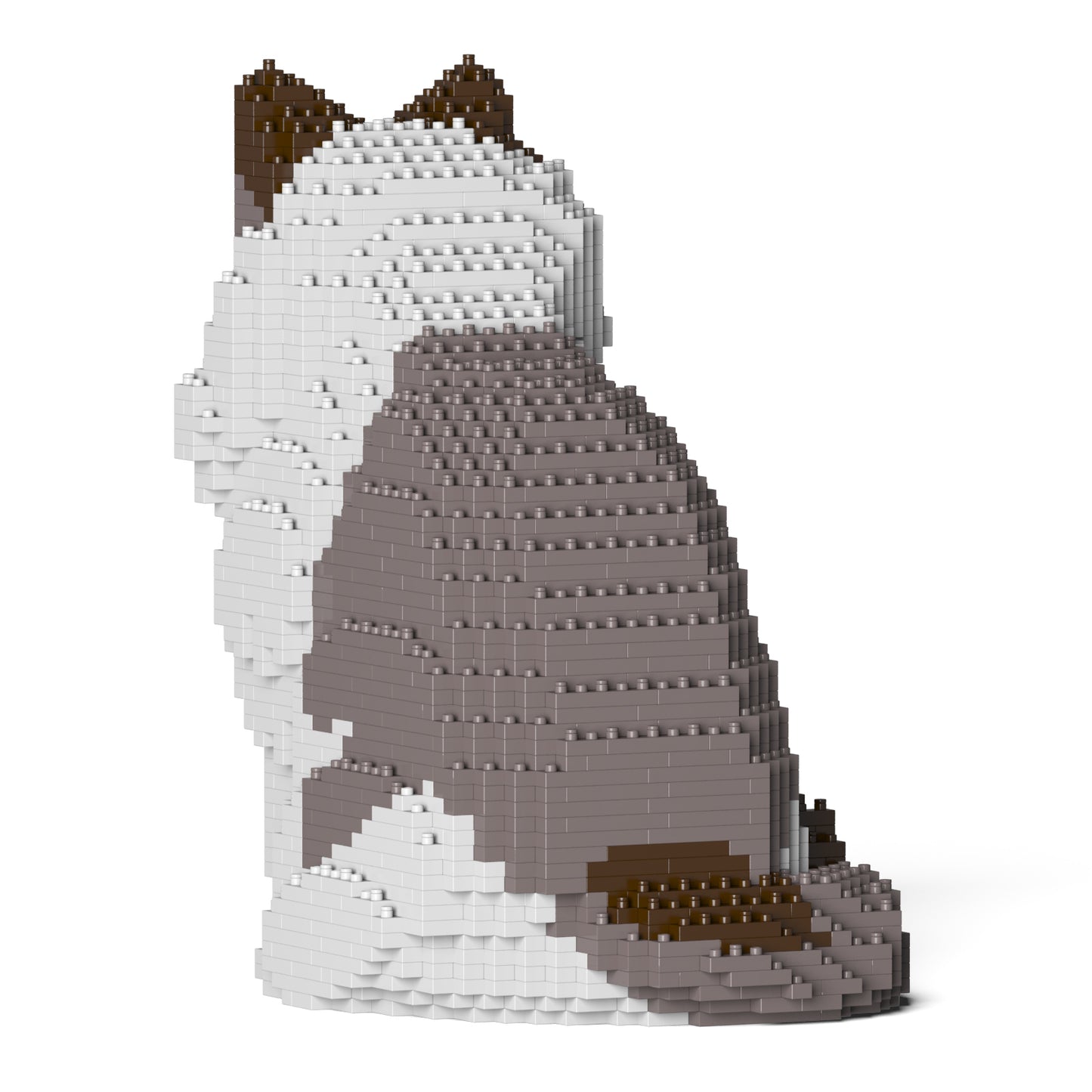 ラグドール 01S-M01