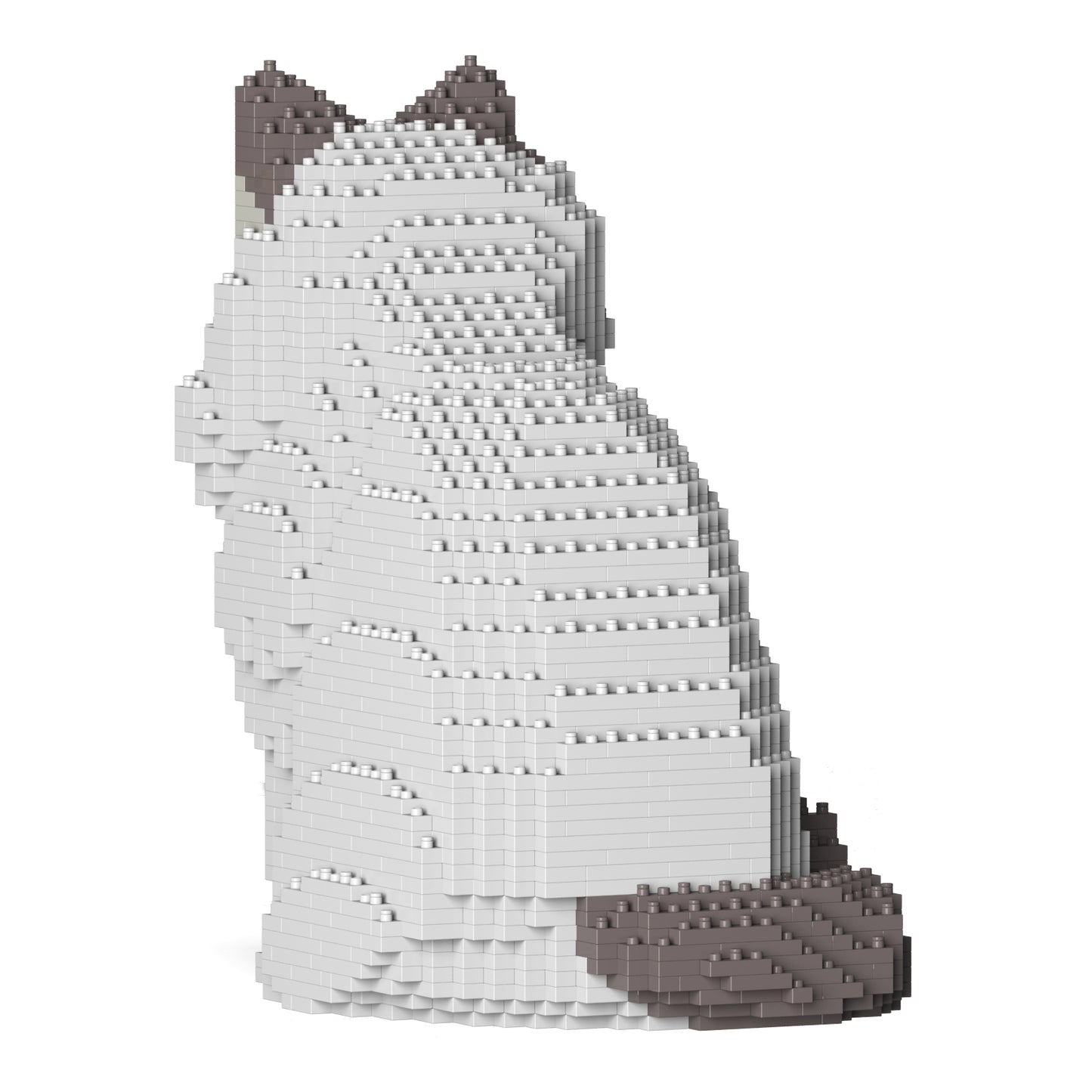 ラグドール 01S-M02