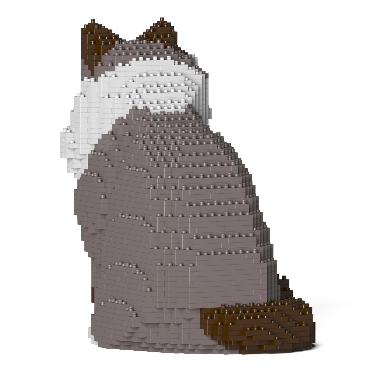 ラグドール 01S-M03