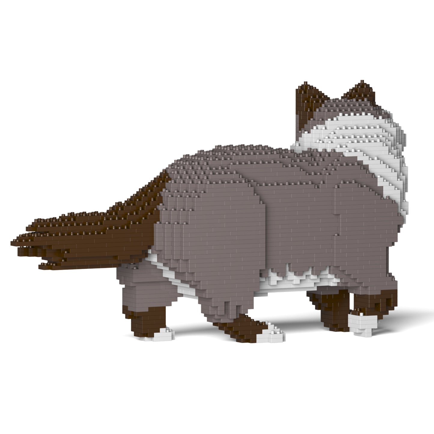 ラグドール 02S-M03