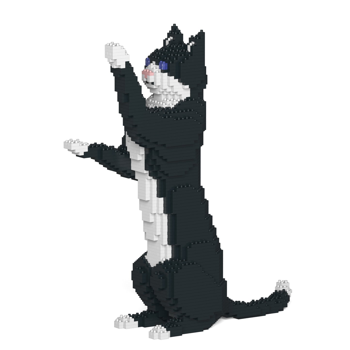 タキシード猫 05S