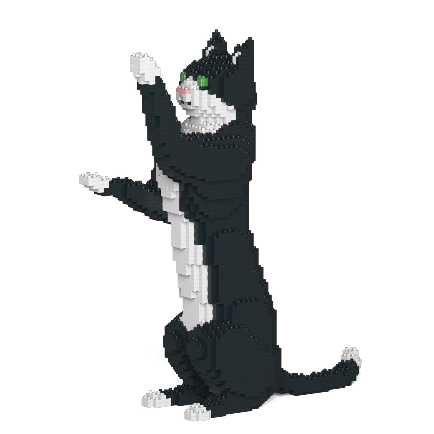 タキシード猫 05S