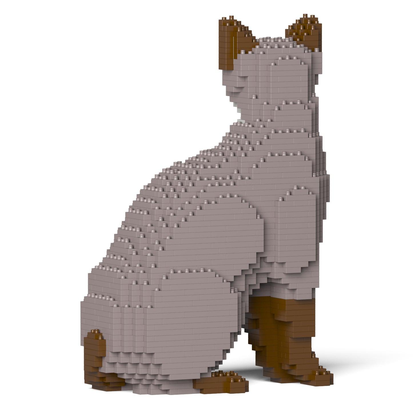 トンキニーズ 01S-M01