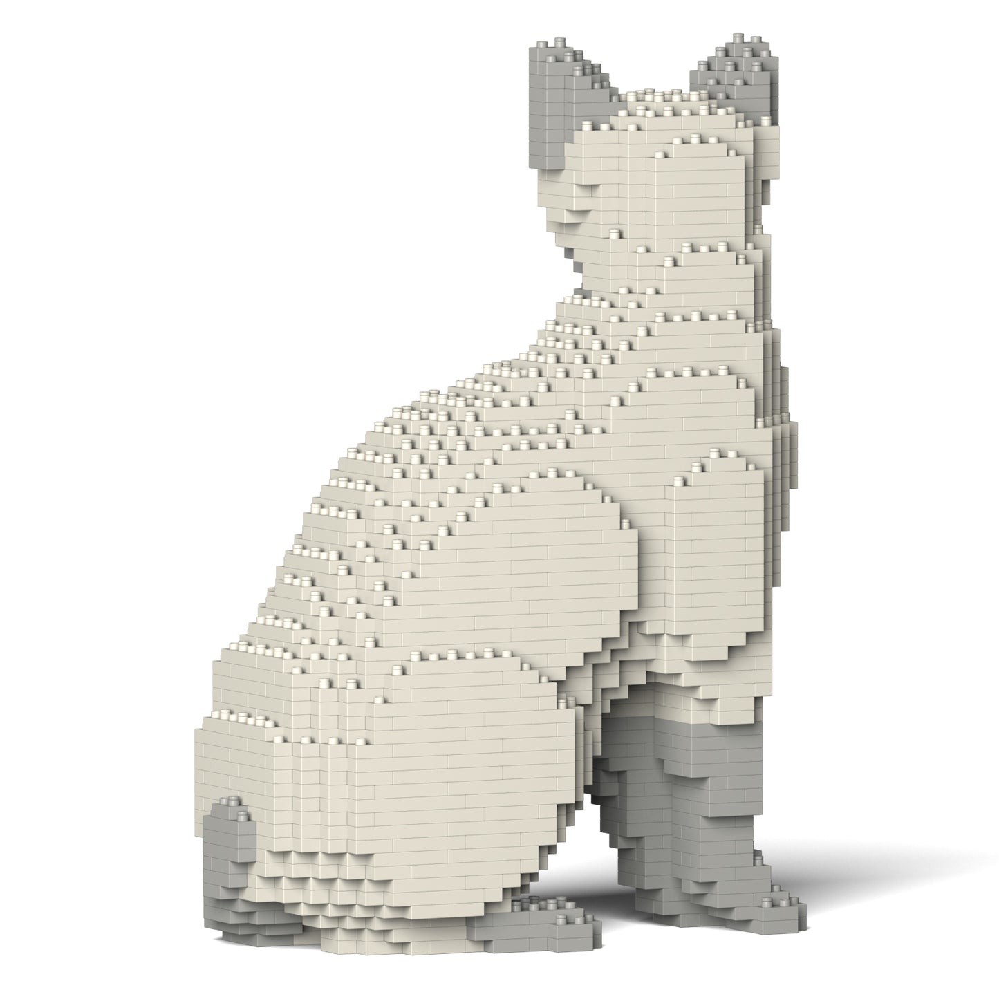 トンキニーズ 01S-M02