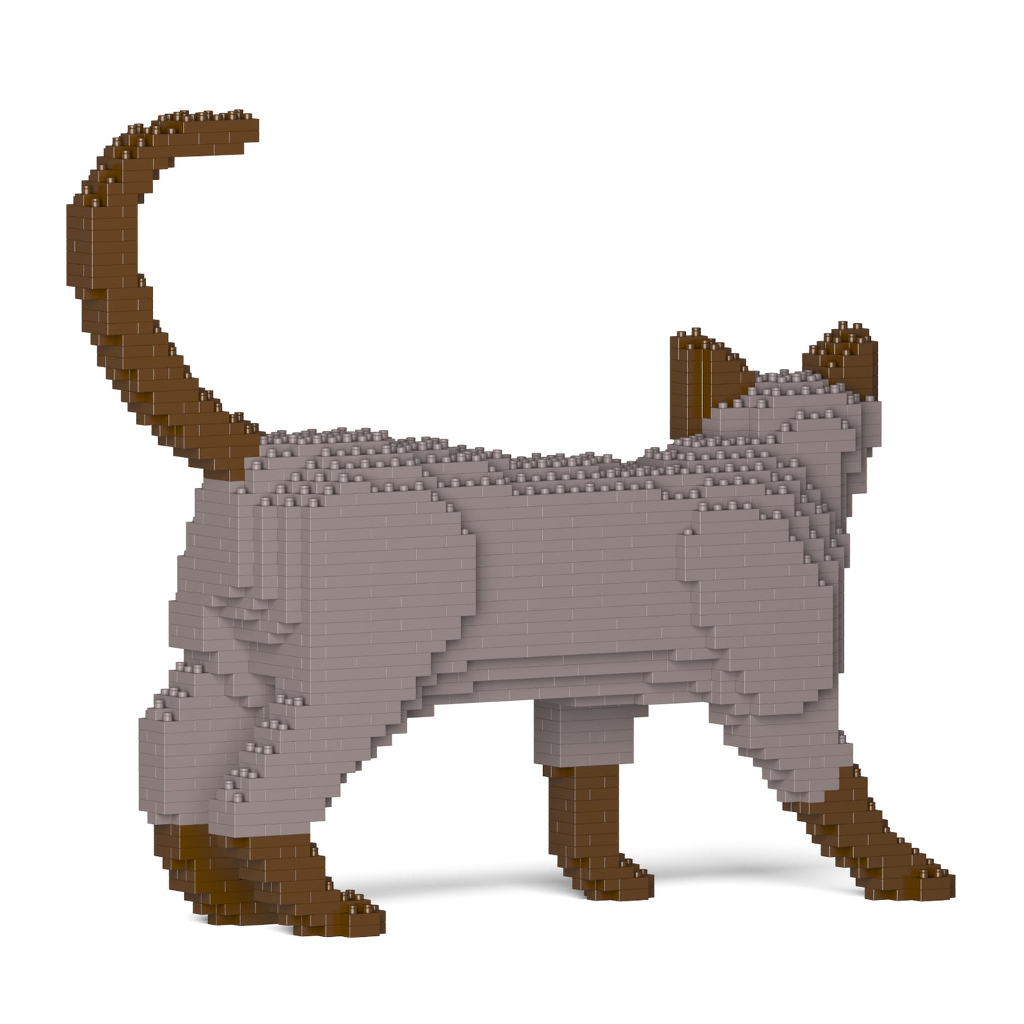 トンキニーズ 02S-M01