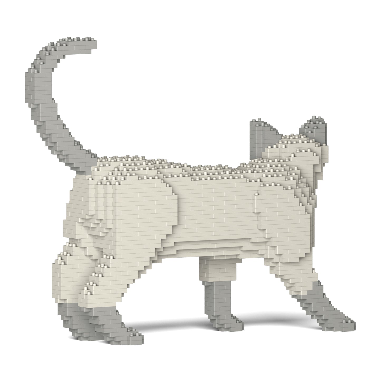 トンキニーズ 02S-M02