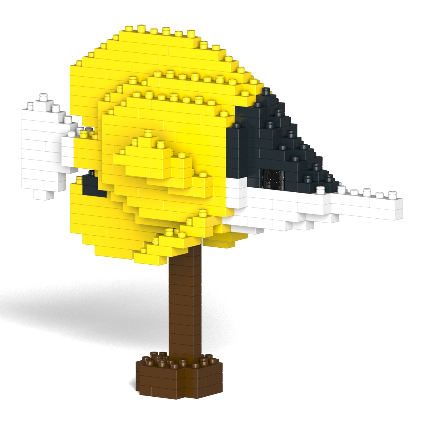 フエヤッコダイ 01S / 01C